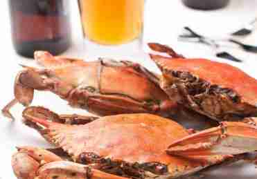 crab